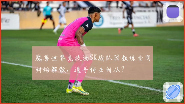 魔兽世界竞技场SK战队因教练合同纠纷解散,选手何去何从?