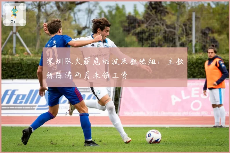 深圳队欠薪危机波及教练组，主教练陈涛两月未领工资