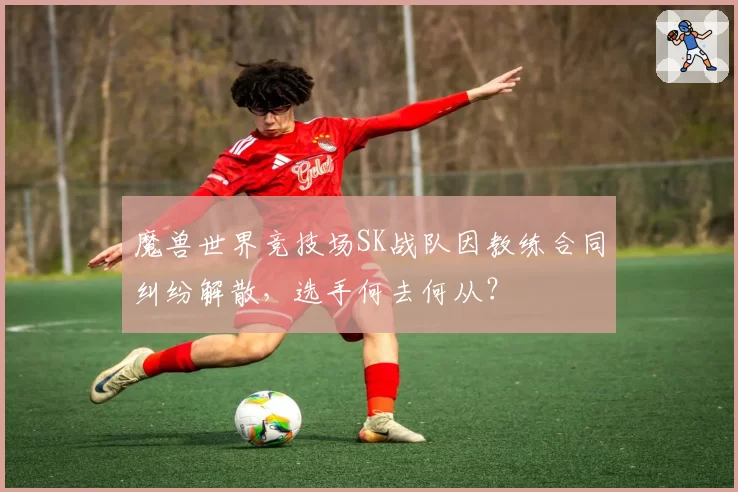 魔兽世界竞技场SK战队因教练合同纠纷解散,选手何去何从?