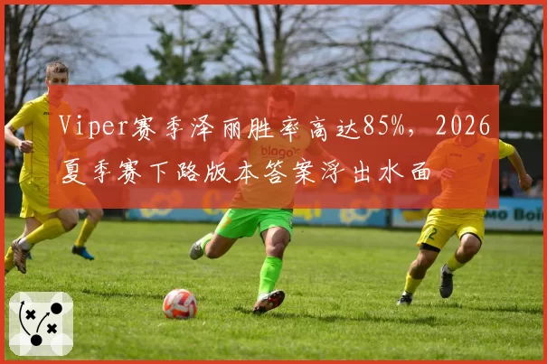 Viper赛季泽丽胜率高达85%,2026夏季赛下路版本答案浮出水面